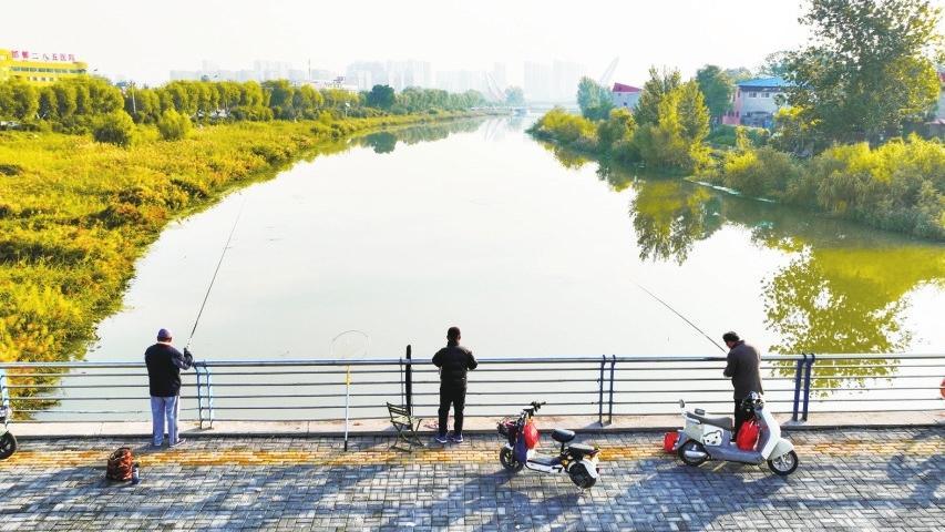 赵丽红 摄