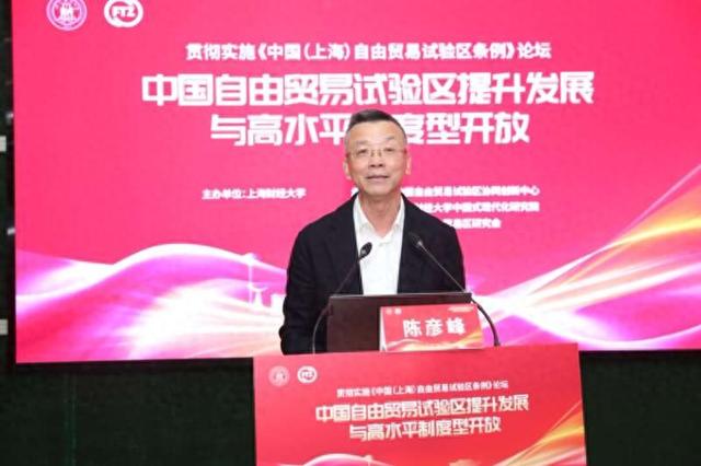 陈彦峰发言。上海财经大学供图
