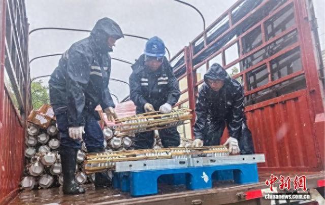 供电部门快速运送物资，抢修被台风损毁线路。何彩虹摄