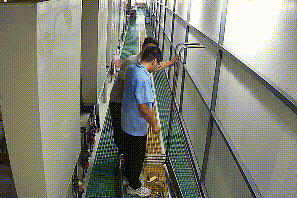 切割作业现场。图源:嘉兴消防