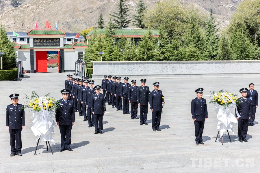 图为活动现场 