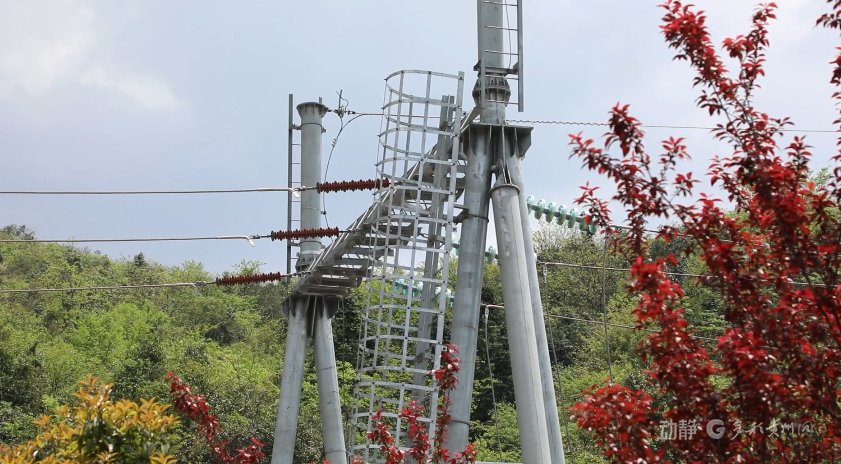 来源：遵义台 桐梓融媒 陈桂良