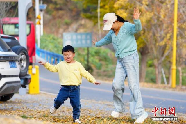 图为钱冲古银杏生态旅游区，游人在树下玩耍。张倩龙 摄