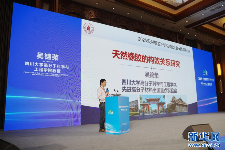 专家作主旨发言（10月25日摄）。新华网发（李柏霖 摄）