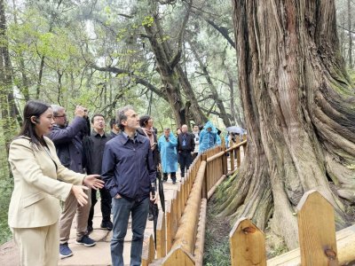 中意两国专家在蜀道考察。刘小龙摄