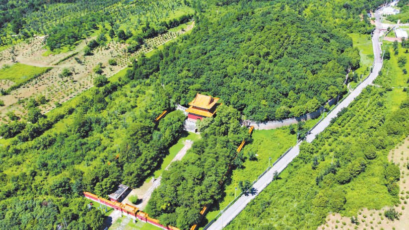俯瞰明献陵后院 杨征 供图