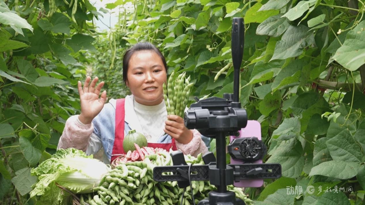 六盘水市六枝特区木岗镇木岗冲村村民张龙良