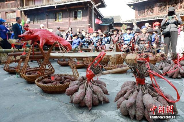 图为活动现场。龚普康 摄