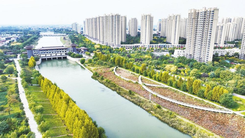 赵丽红 摄