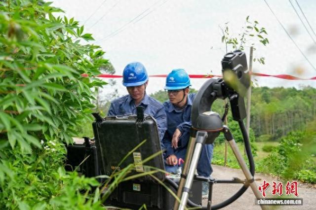 10月5日一早，在广西防城港市企沙镇，南方电网广西防城港供电局运用激光清障仪清理10千伏大坳线的线路走廊。岳浩 摄