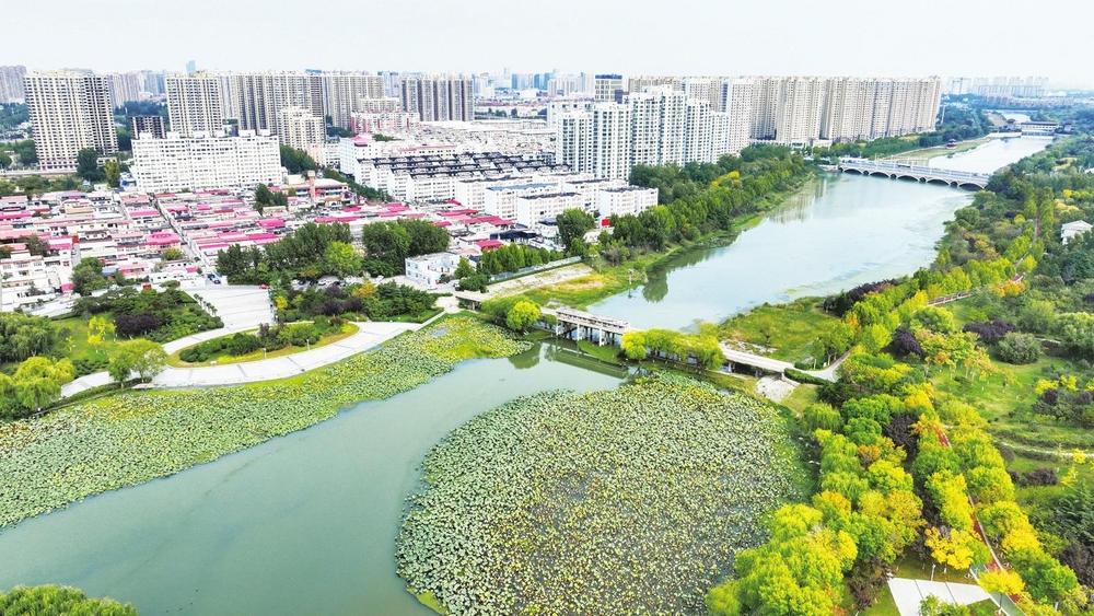 赵丽红 摄