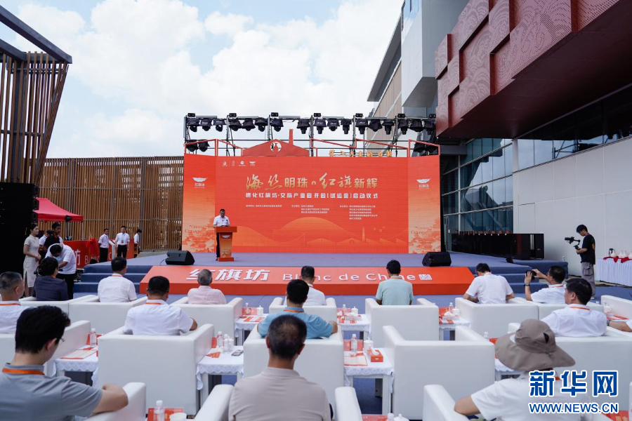 图为活动现场。新华网 蒋巧玲 摄