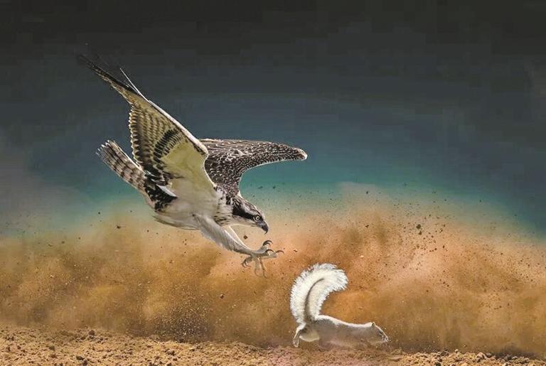 《各怀绝技》 焦生福 摄