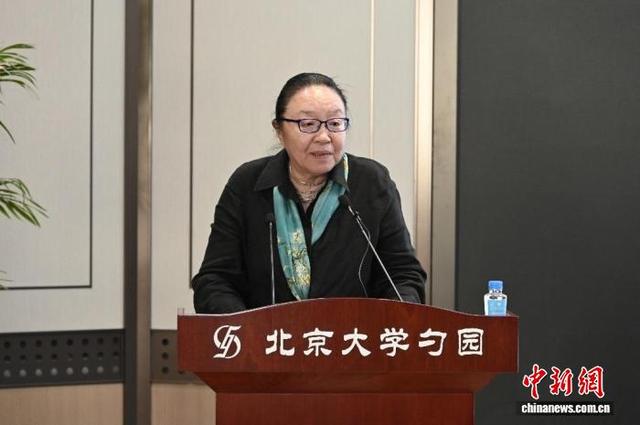 北京大学比较文学与比较文化研究所教授戴锦华在研讨会上致辞。(主办方供图)