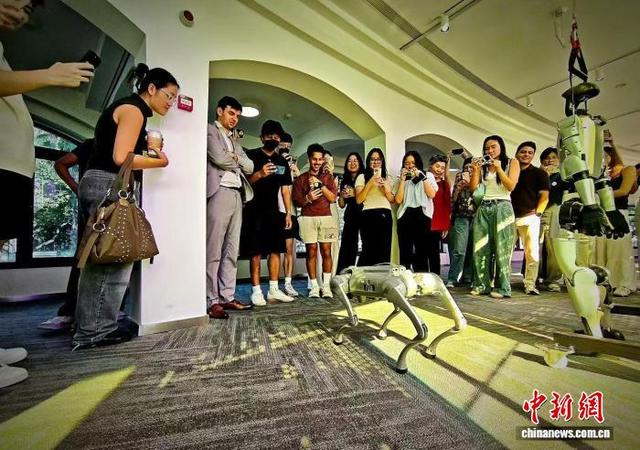 研学活动现场。 受访者供图