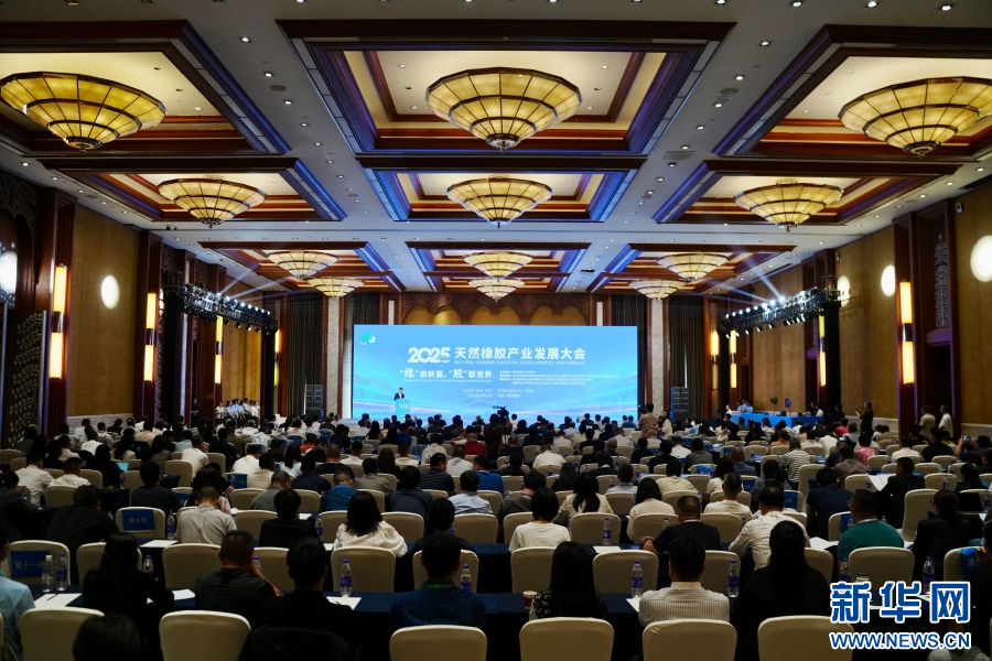 2025天然橡胶产业发展大会现场（10月25日摄）。新华网发（李柏霖 摄）